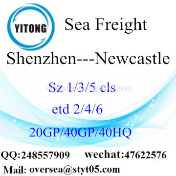 Shenzhen Port Sea Freight Shipping To Newcastle